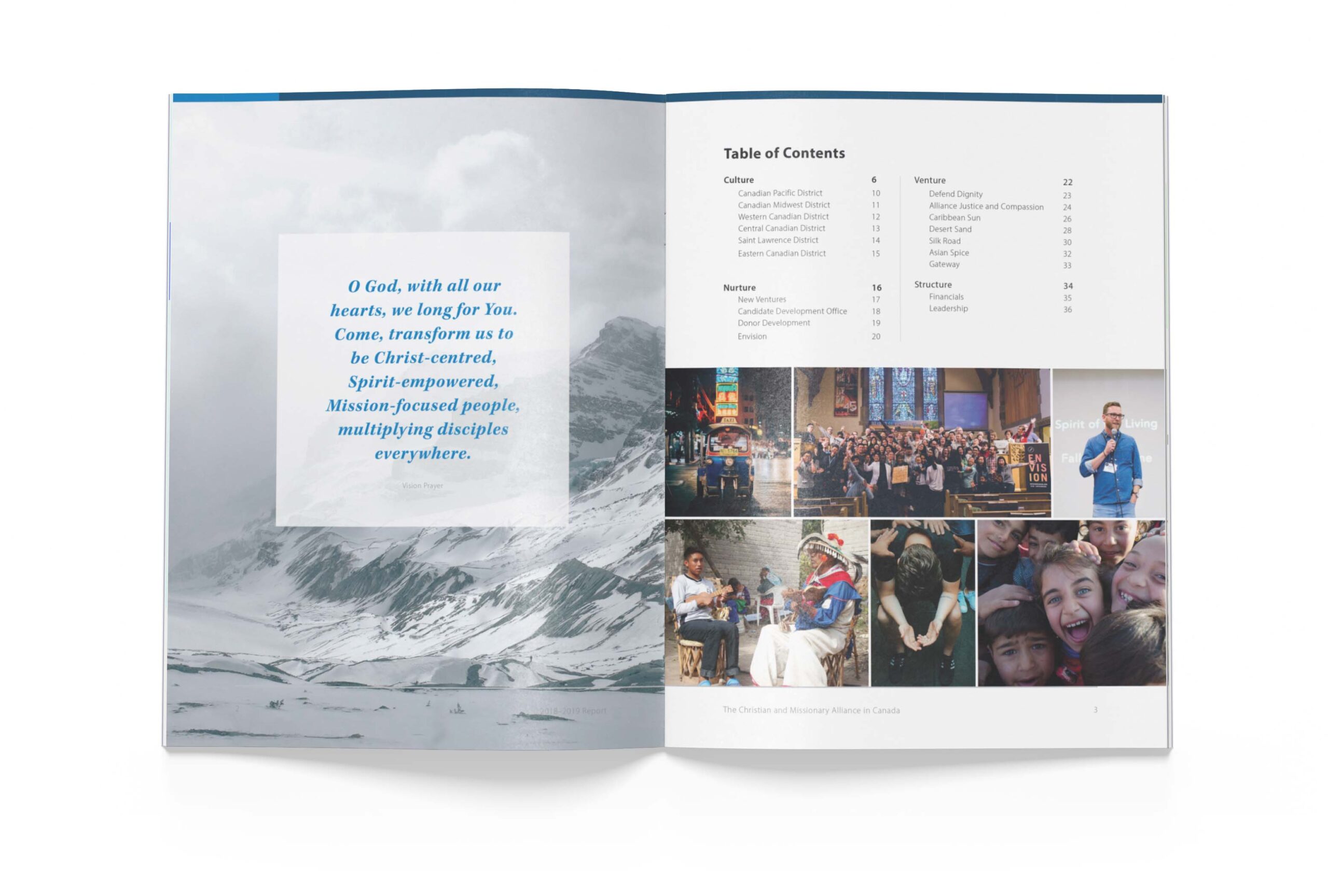 The Alliance Canada annual report design